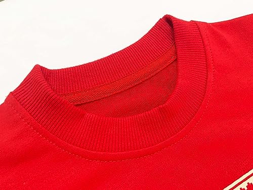 Mrocioa Toddler Boy Girl Sweatshirt Ugly Christmas Style Santa Sweater Baby Kids Dinosaur Xmas Pullover4