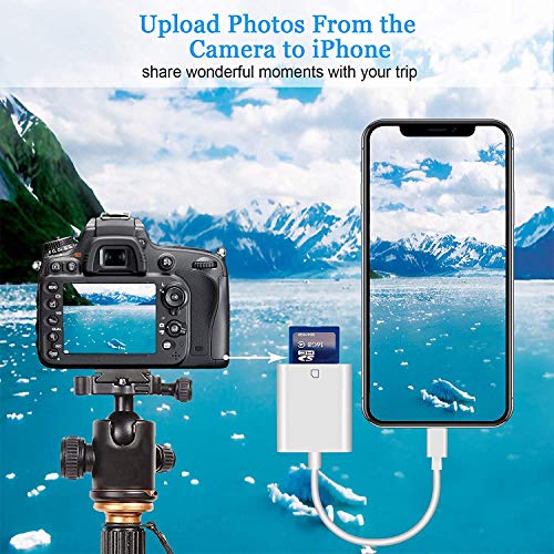 Apple Mfi Certified Lightning To Sd Card Camera Reader For Iphone Ipad, Veetone Sd Card Reader Memory Card Reader Trail Camera Viewer Sd Card Adapter For Iphone 12/11/Xs/Xr/X/8/7/Ipad, Plug And Play #TOP4