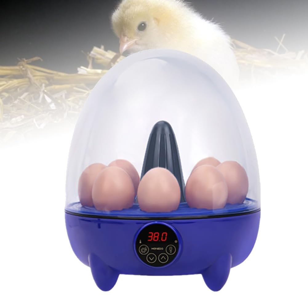 Incubadora digital de huevos de gallina, 8 huevos, control automático de temperatura con visualización de temperatura, mini incubadora de aves de corral para huevos de pato y pájaros, huevo de giro