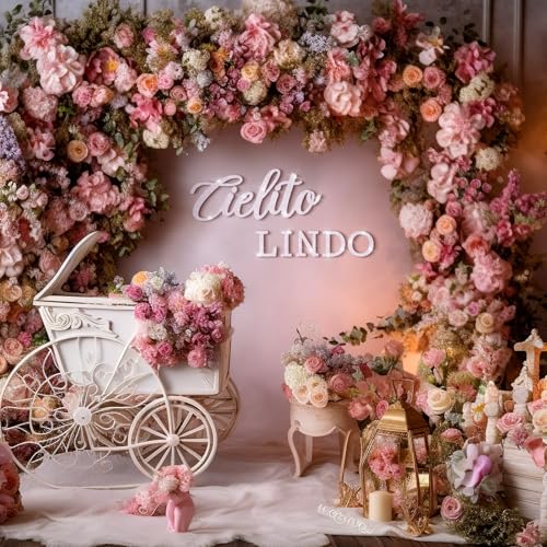 Image of VitalCozy Cielito Lindo Sign for Backdrop Felt Cielito Lindo Sign for Balloon Arch Baby Shower Birthday Party Mexican Talavera Wedding Party Decor for Backdrop Balloon Arch Decor(White,Glitter)