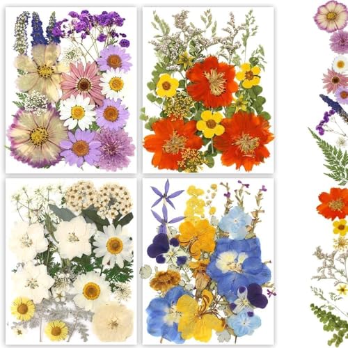 Buzidao Dried Pressed Flowers 80Pcs Real Natural Pressed Flowers Bulk for Resin Nail Art Scrapbooking Candle Jewelry Making DIY Crafts Real Dried Pressed Flowers Resin Supplies Kit (Multi Color-2)
