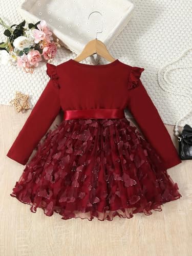 MakeMeChic Girl's Round Neck Long Sleeve Mesh Sheer Butterfly Bow Knot Ruffle Trim Short Dress2