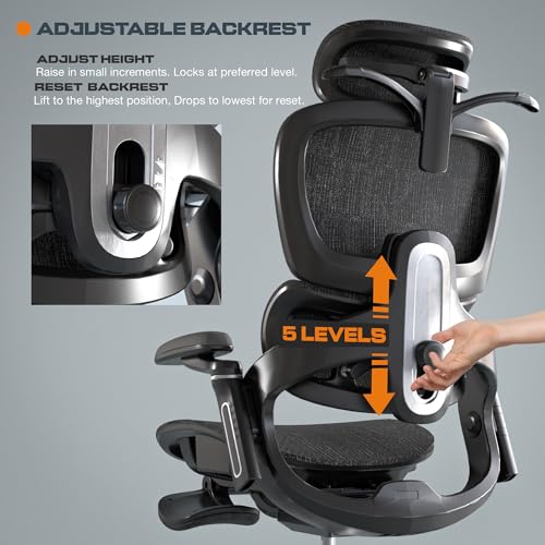 Image of DROGO Evo Lounge Ergonomic Office Chair for Work from Home, Computer Chair with Mesh, Adjustable Seat, 6D Armrest, 4D Headrest & Lumbar Support | Gaming Chair with Footrest & Recline (Black)