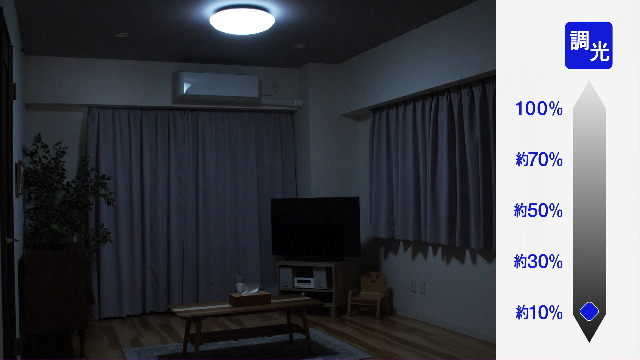 Amazon | HotaluX(ホタルクス) LEDシーリングライト HLDZ12209 適用畳