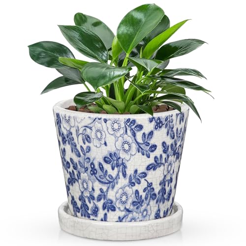 Ceramic Pot for Plants 5.5 inch Blue and White Pot for Plants Small Chinoiserie Planter Pots with Drainage Hole and Saucers Outdoor Inoor Blue Flower Pots for Succulent, Cactus, Snake Plant, Herb