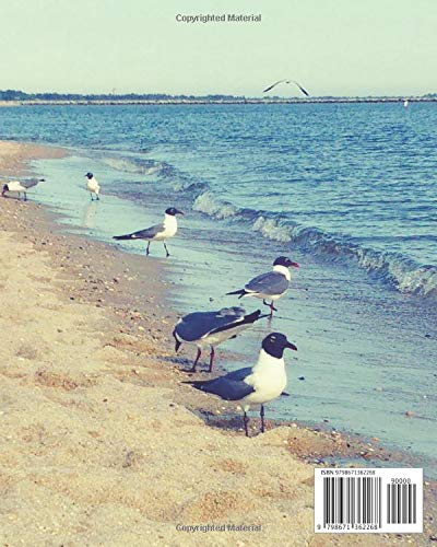 Composition Notebook: Beach and Seagull Themed Composition Notebook with Lined Pages for Writing Note Taking at School or Home - Image 2