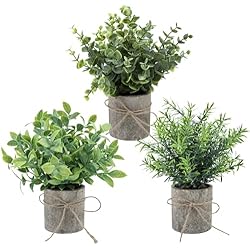 Macetas De Interior Artificiales Woltoy 3 Piezas Plantas Artificiales de Interior Plantas Artificiales de Eucalipto en Macetas Plantas Verdes Falsas de Plástico para Dormitorio Sala de Estar Oficina Baño Decoración del Hogar