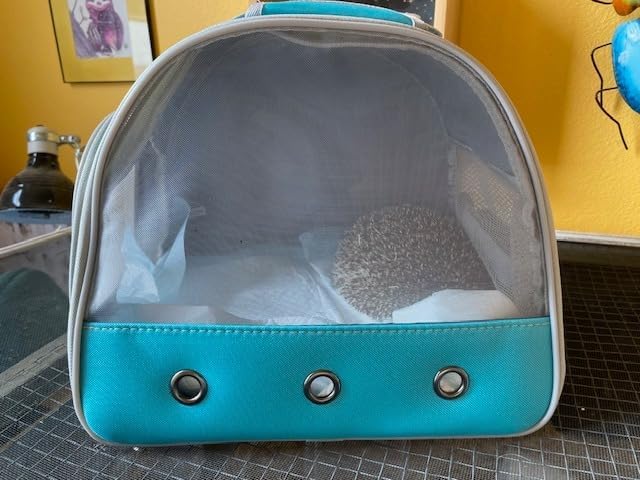 small animal travel carrier with absorbent pad set pee pad with leak-proof quick-dry design for guinea pigportable bearded dragon bag for sugar gliderhedgehogratbunnyratoutdoor used