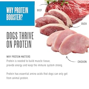 Tiki canine born carnivore protein booster canine meals topper selection pack 2 1 oz Pouch 12 depend   cucciolini doodles