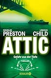  Attic (Ein Fall für Special Agent Pendergast 2)