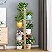 Bee Creative A Trendy Ultra Luxury Metal 6 Tier 7 Potted Plant Stand Multiple Flower Pot Holder Display For Indoor Outdoor Size- Hxl 41X18 Inch (Gold