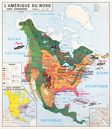 Affiche Vintage Scolaire Cartes du monde - Amérique du Nord économie - Poster Décoration Murale A3+ (32 x 45 cm) pour embellir et donner une touche Déco à...