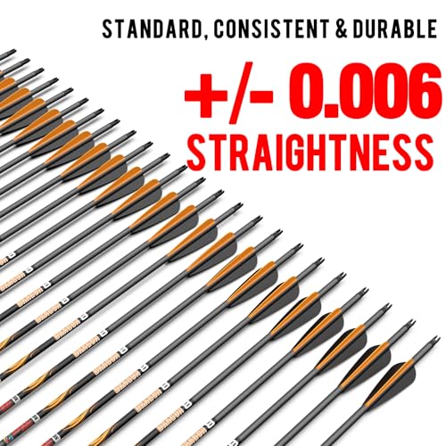 Image of sanlida 100% Pure Carbon Hunting Arrows, Olympic-Grade 10 Spines Deflection (Unique), 0.001 inch /0.003 inch /0.006 inch Straightness, Buy 12 Get 12 Free /Buy 6 Get 6 Free, for Compound & Recurve Bows (12 /24PCS)