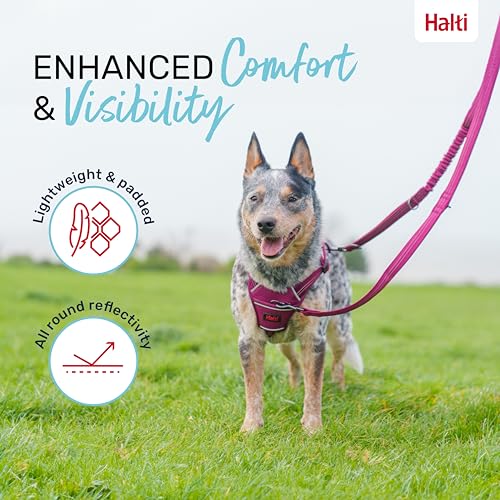 Image of Halti Anatomy Multifunctional Dog Leash | Size Large, Magenta | Shock Absorbing Double-Ended Leash, Ideal for Puppy and Dog Walking & Training. Comfortable to Hold, Reflective & Lightweight