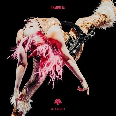 《 先着特典あり ・ 完全生産限定盤 》 ちゃんみな / 「 AREA OF DIAMOND 3 」 【 DVD 】 (オリジナルA4クリアファイル)