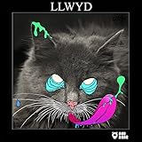 Llwyd