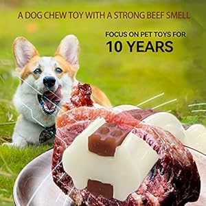   Dog-Toys-for-Aggressive-Chewers-2-Pack-Nylon-Durable-Dog-Bones-with-Real-Beef-Flavor-for-LargeMediumSmall-Breeds-Pet-Chew-Toys
