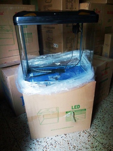 Image of RS Electrical Glass Aquarium Tank RS-600EL with LED Lights, Filtration Included. (Random Colour as per Availability)
