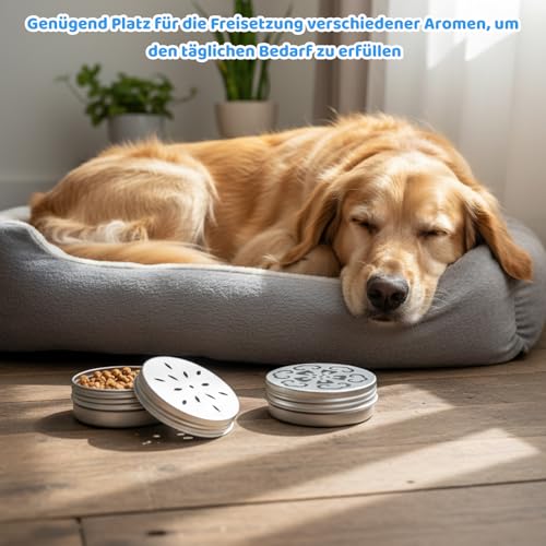 10er Set Hundetraining Zubehör, Aluminium Hundeduft Dosen Mit Belüftung, 60ml Geruchsbehälter Für Fährtenarbeit Hund Zubehör, Riechtraining Set Für Schnüffelhunde, Agility-Training Und Indoor-Spiele