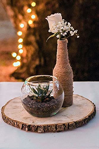 Image of T one Woods Sanded Wooden Log Crafted Slices Disc Platter (12 inch)