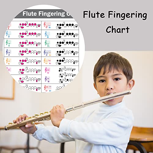 image for QMG Flute Fingering Chart with Color-Coded Notes, Learn Flute Techniqu