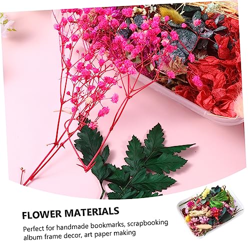 Flores Secas para Manualidades Decorativas Epoxi miniatura 7