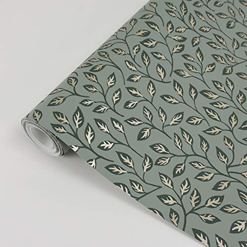 A-Street Prints 2948-33020 Posey - Papel pintado, diseño de vides verdes Cover