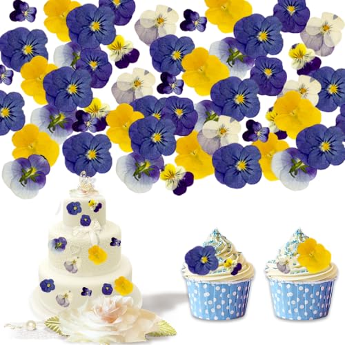 48Pcs 8 Kinds Natural Dried Pressed Edible Flowers for Cake Topper Decorating - Mix Viola Tricolor for Cocktails Cupcake Toppers, Resin DIY Art Jewelry Candle & Soap Making