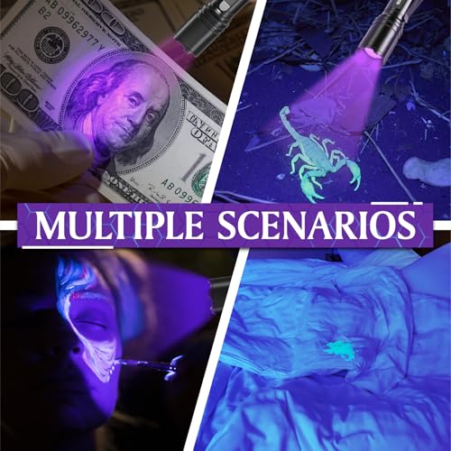 Gofimyee UV Taschenlampe Schwarzlichtlampe, 2 Stück Mini UV lampe mit Einstellbarem Fokus, 395nm Ultraviolett Lampe für Geocaching, Heimtierurindetektoren, Bernsteinsuche usw, Inklusive 2 AA Batterien