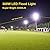 WERISE 300W LED Flood Light Outdoor, 33480lm 6000K Super Bright Yard Security Lights IP66 Waterproof Outdoor Work Lights, Adjustable Heads, Great for Garden,Yard, Parking Lot