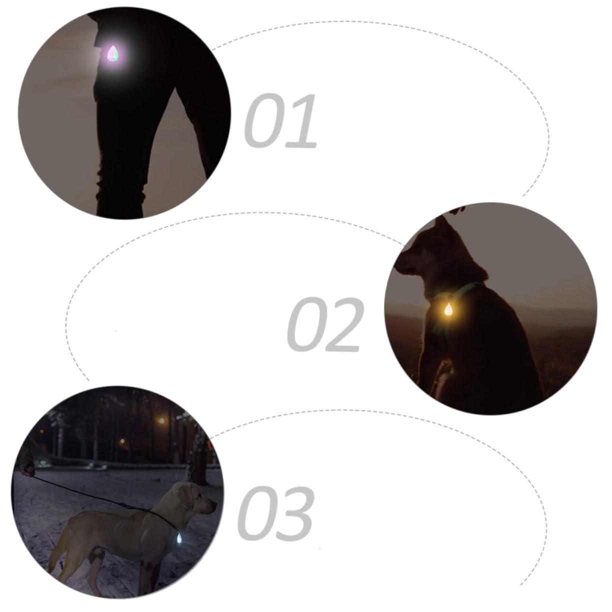 BESPORTBLE 6pièces Pendentif Lumineux De Sécurité pour Chien Lumière LED Rechargeable Et Étanche pour Collier De Nuit Accessoires Animaux