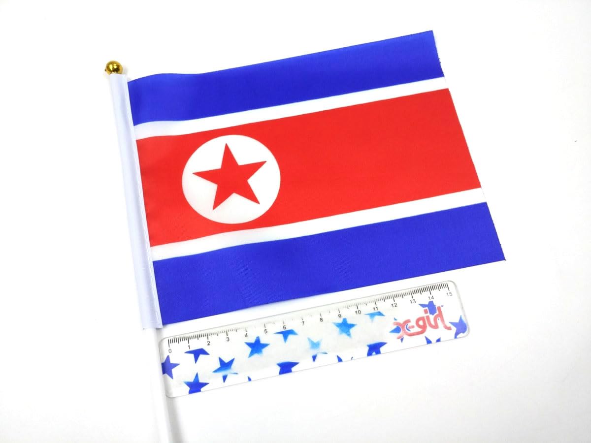 Amazon.co.jp: [F NODE] 北朝鮮国旗 ミニフラッグ 10点セット 8号（約