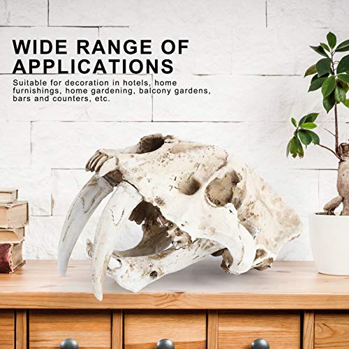 Crânio de tigre de resina Crânio de animal, excelente acabamento Simulação de alta simulação Modelo