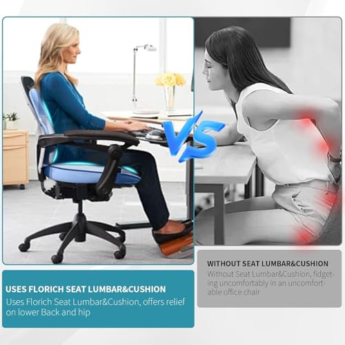 Image of FLORICH Seat Cushion Lumbar Support Pillow for Office Chair, Car Lower Back Support, Ergonomic Desk Chair Pillow for Butt and Back Support of Memory Foam Seat Pad(Blue)