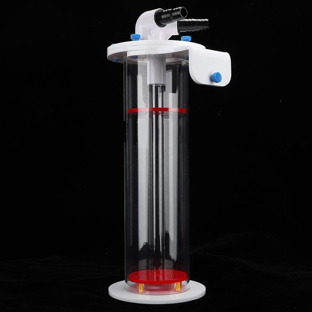 Amazon.co.jp: 透明な2.2LバイオBeanリアクターフィルター、アクリルNP