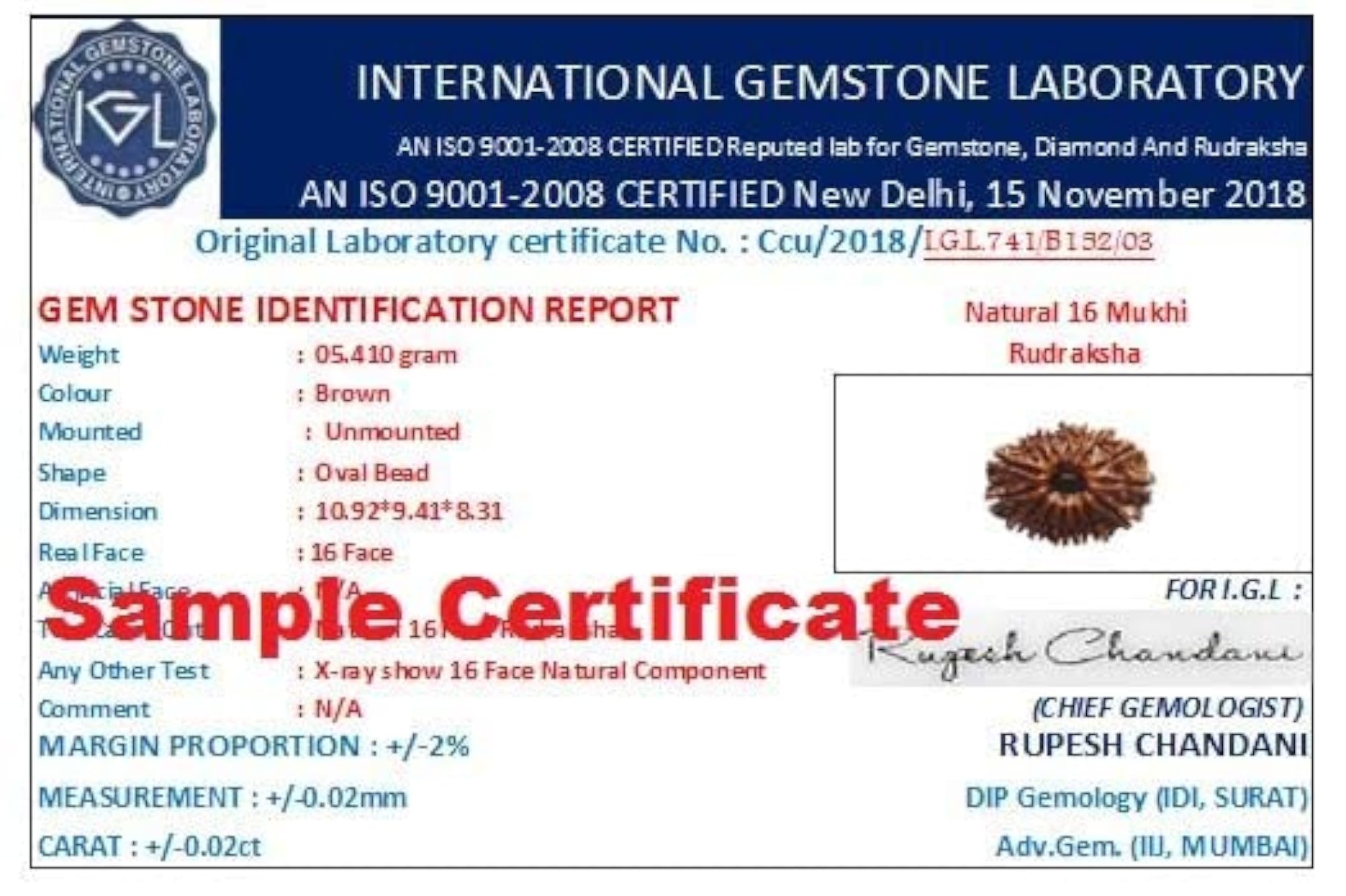 16 Mukhi Rudraksha Original Certified with Silver Capping
