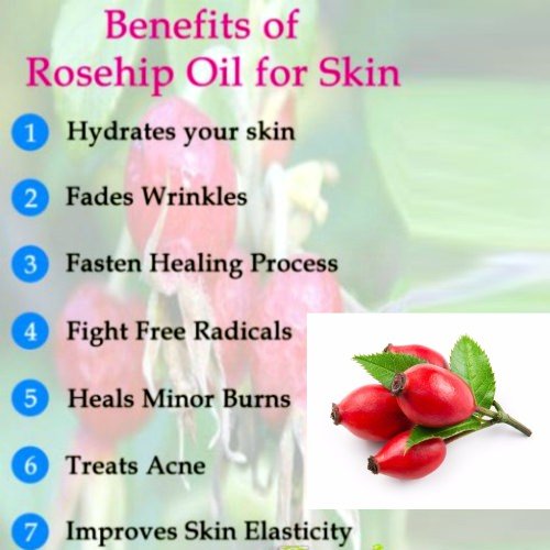 Image of Crysalis Rosehip (Rosa Canina L.) Oil |100% Pure & Natural Undiluted Essential Organic Rosehip Oil For Anti-Aging Benefits, Enhances Elasticity And Moisturization, Reduce Dark Spot (10ml)