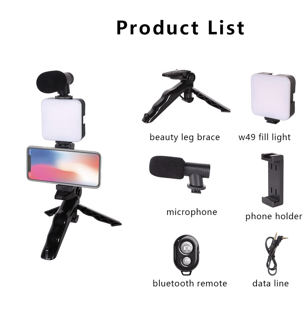Amazon.com: Samadex Kit de video para videograbación ...