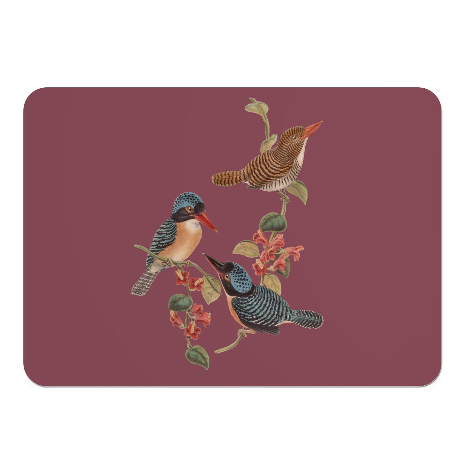 Napperons en liège de qualité supérieure illustration oiseaux 4pcs