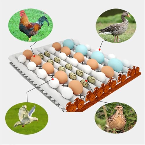 ele ELEOPTION 36 Egg Incubator for Chicken Eggs Poultry Automatic Egg Turning and Humidity Control Hatcher Temp Control INncubators for Hatching Eggs