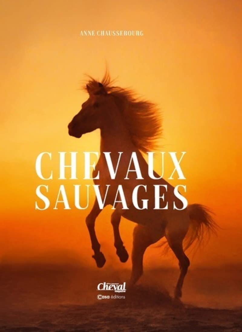 Chevaux sauvages tableau décoration nature salon