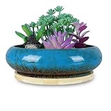 Decora tu hogar: esta elegante maceta de bonsái hecha a mano se puede llenar con bonitas suculentas, cactus y un pequeño árbol de bonsái, decorando tu escritorio de oficina, alféizar de ventana, estantería y jardín, añadiendo un toque de vitalidad y energía a tu espacio vital