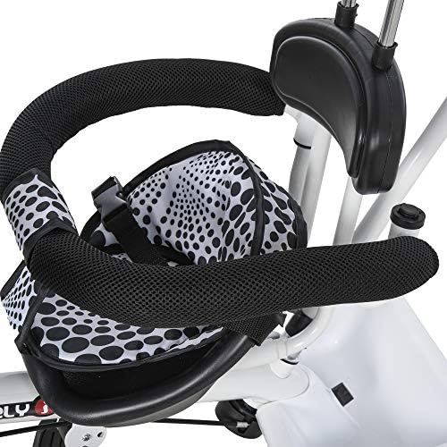 HOMCOM 4 in 1 Tricycle for Kids Toddler Trike with Parent Handle Adjustable Handle Canopy for 18 Months to 5 Years