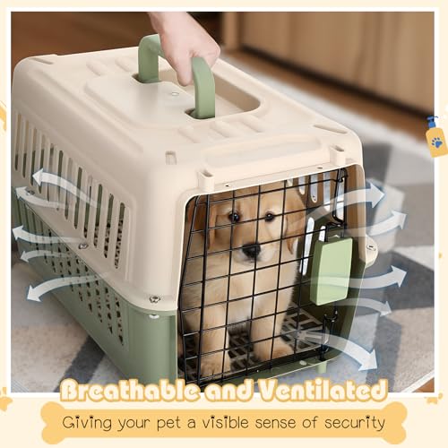 image for Fiwochic 2 Set Hard Plastic Pet Carrier Breathable Dog Cat Kennel with