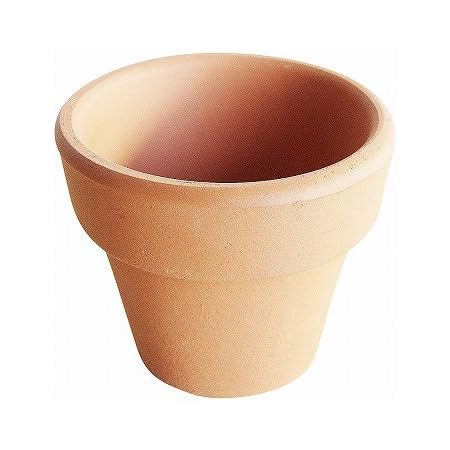 Amazon 1 5号 小さな ミニ素焼き鉢 10個 穴あり 植木鉢 陶器 国産 Su1 5 10 鉢