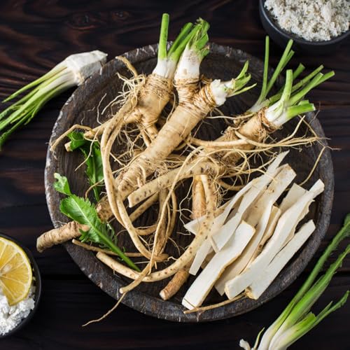 semi di rafano resistenti da balcone, orto di interno rafano selvatiche, rare, biologici, 100pcs