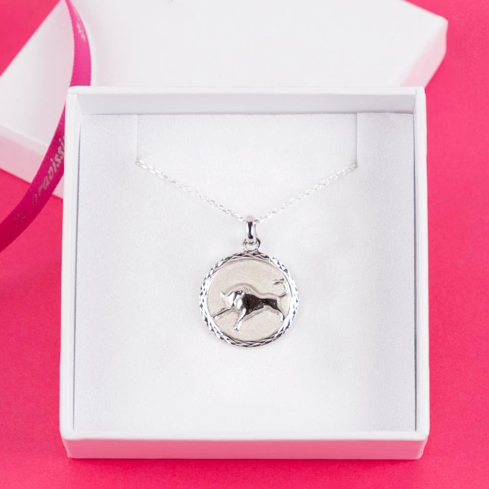 Ocadeau Collar Zodiacal Personalizado en Plata de Ley - Colgante astrológico Personalizado con Texto Grabado - Una Joya Celestial a su Imagen
