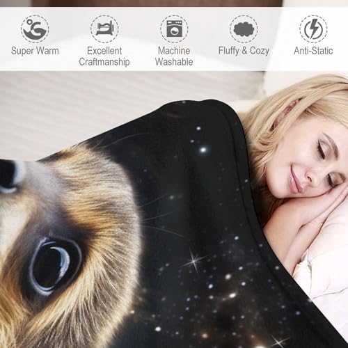 Couverture douce SuriChate pour vos soirées cocooning devant la télé - 4