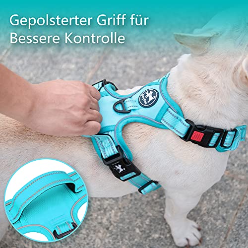 PoyPet Hundegeschirr ohne Zug, Reflektierendes Hundegeschirr für mittelgroße Hunde ohne Würgen, verstellbare, weich gepolsterte Haustierweste mit einfachem Steuergriff (Mint Blau Passender Trimmen, M)
