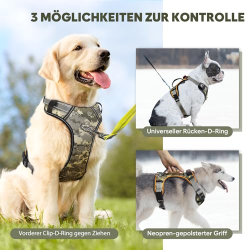 led hundegeschirr